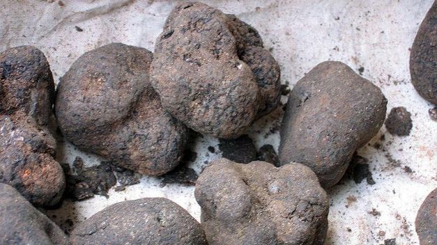 Imagen de Sarrión mapa 44460 6 