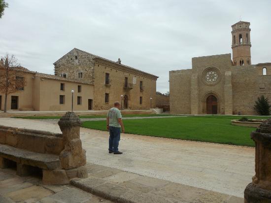 Imagen de Sástago mapa 50780 4 