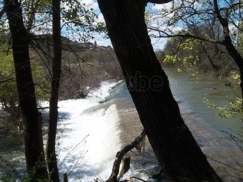 Imagen de Sástago mapa 50780 5 