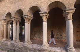 Imagen de Saúca mapa 19262 5 