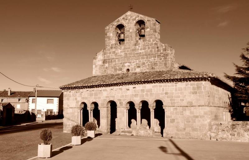 Imagen de Saúca mapa 19262 6 