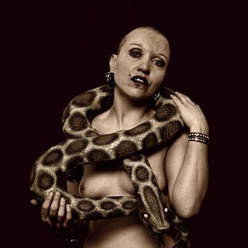 Imagen de Sediles mapa 50334 4 