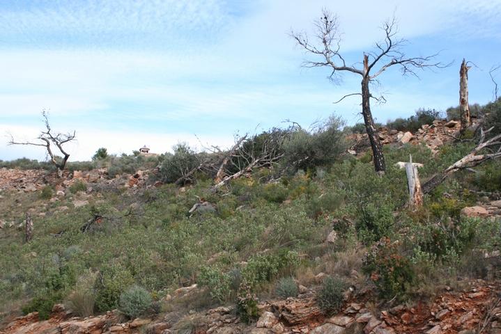 Imagen de Segart mapa 46592 5 