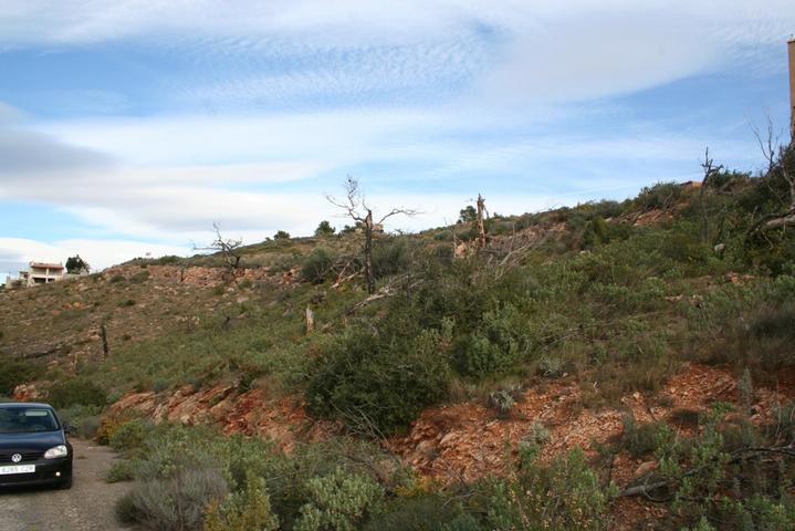 Imagen de Segart mapa 46592 6 