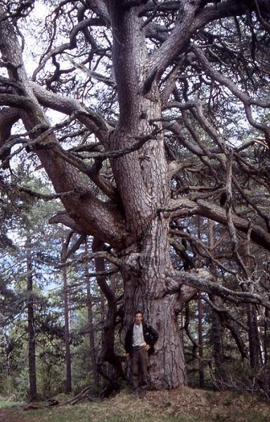 Imagen de Seira mapa 22463 5 