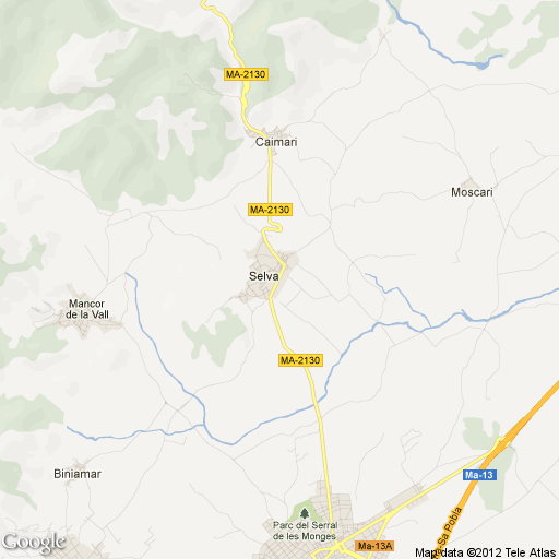 Imagen de Selva mapa 07313 3 