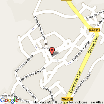 Imagen de Selva mapa 07313 4 