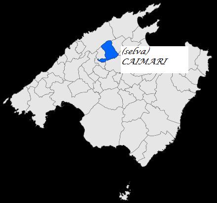 Imagen de Selva mapa 07313 6 