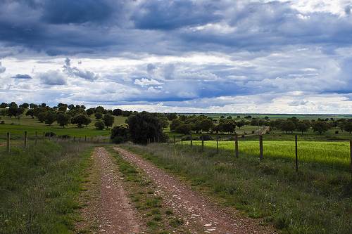Imagen de Sepulcro-Hilario mapa 37638 3 