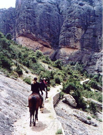 Imagen de Serrateix mapa 08673 2 