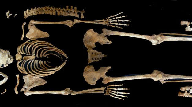 Imagen de Seròs mapa 25183 3 