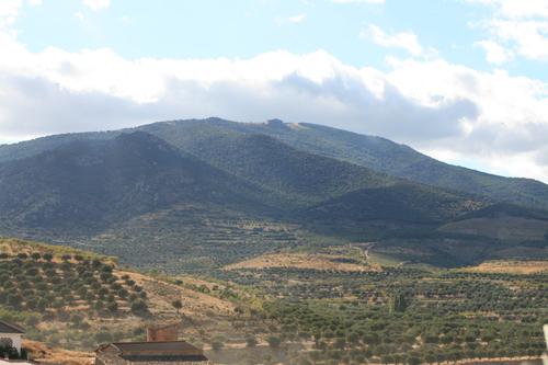 Imagen de Sestrica mapa 50248 6 