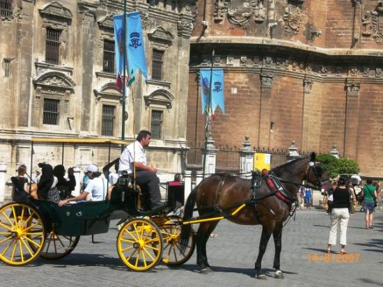 Imagen de Sevilleja de la Jara mapa 45671 4 