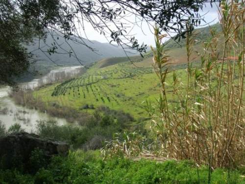 Imagen de Sobradillo mapa 37246 4 