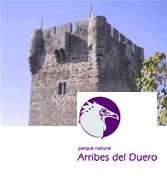 Imagen de Sobradillo mapa 37246 6 
