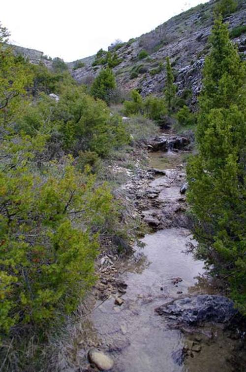 Imagen de Somolinos mapa 19275 6 