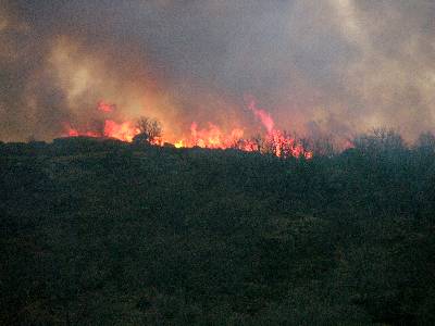 Imagen de Sorihuela mapa 37777 5 