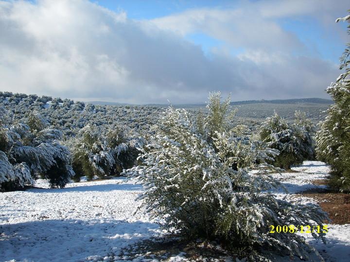 Imagen de Sorihuela del Guadalimar mapa 23270 3 