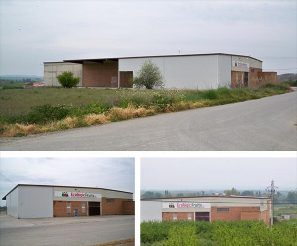 Imagen de Soses mapa 25181 4 