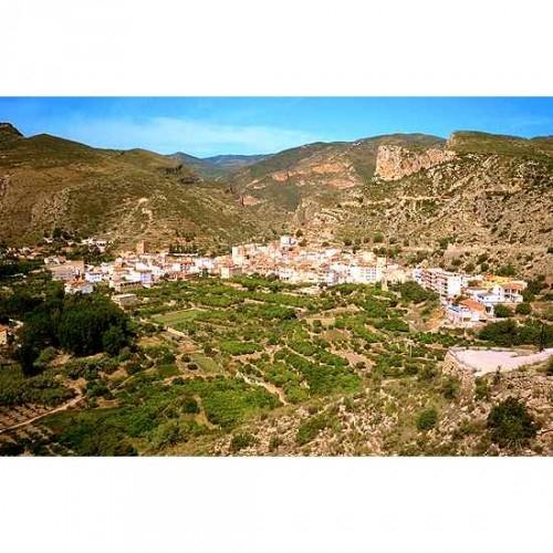 Imagen de Sot de Chera mapa 46168 6 