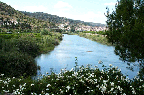 Imagen de Sumacàrcer mapa 46295 2 