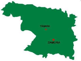Imagen de Tábara mapa 49140 4 