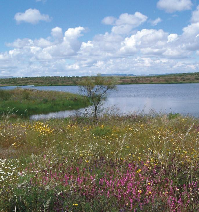 Imagen de Talaván mapa 10193 4 