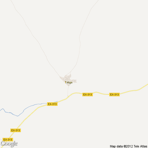 Imagen de Táliga mapa 06133 1 