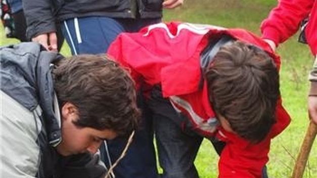 Imagen de Táliga mapa 06133 4 