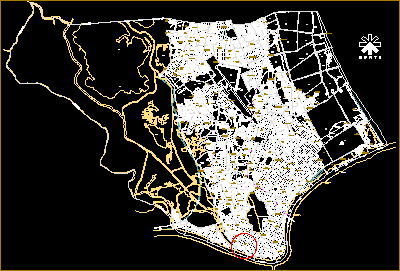 Imagen de Tampico mapa 46400 3 