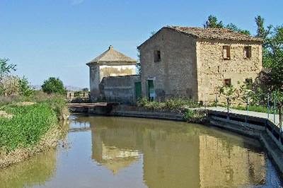 Imagen de Tauste mapa 50660 5 