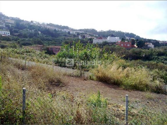 Imagen de Teror mapa 35330 2 