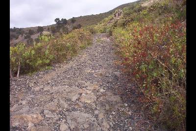 Imagen de Teror mapa 35330 3 