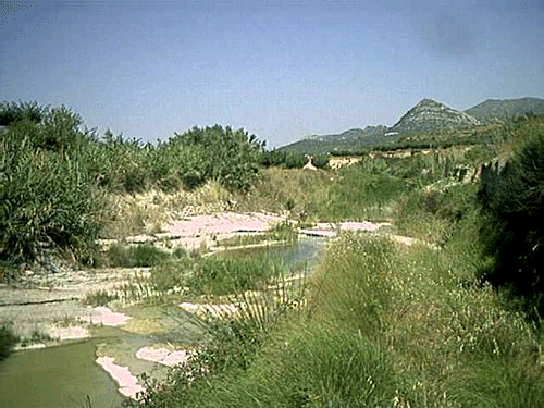 Imagen de Terrateig mapa 46842 2 