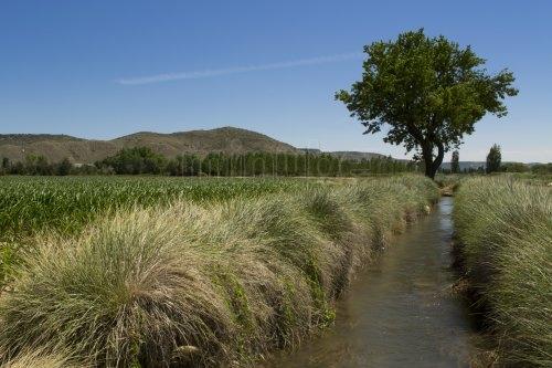 Imagen de Tielmes mapa 28550 3 