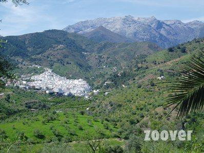 Imagen de Tolox mapa 29109 3 