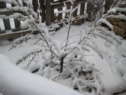 Imagen de Tordellego mapa 19325 4 