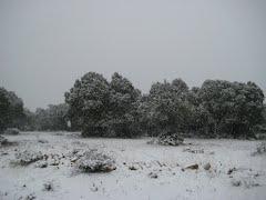 Imagen de Tordellego mapa 19325 6 