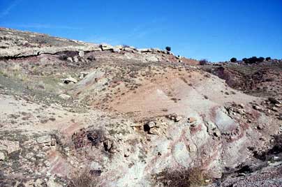 Imagen de Tordelrábano mapa 19277 6 