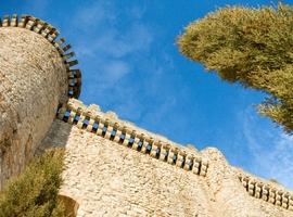 Imagen de Torija mapa 19190 2 