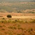 Imagen de Toril mapa 10521 2 