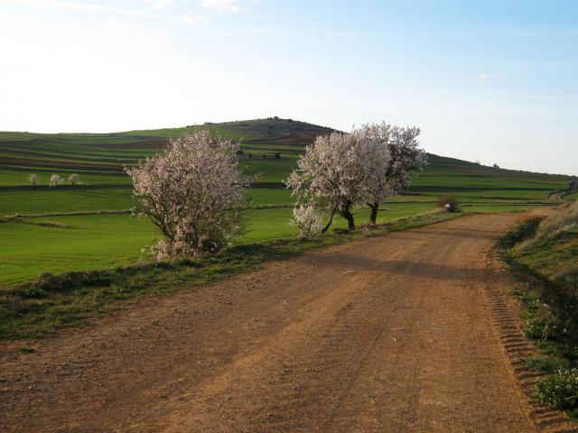 Imagen de Tornos mapa 44230 4 