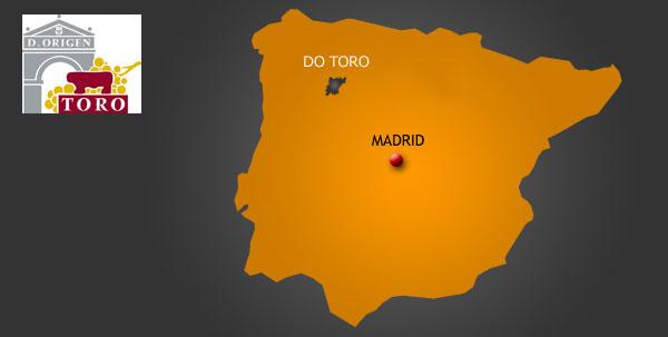 Imagen de Toro mapa 49155 2 