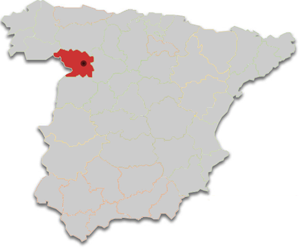 Imagen de Toro mapa 49155 4 