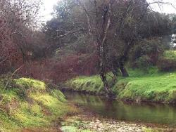 Imagen de Torralba de Oropesa mapa 45569 4 