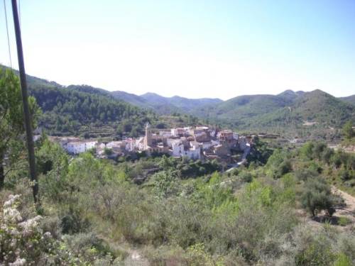 Imagen de Torralba del Pinar mapa 12225 2 