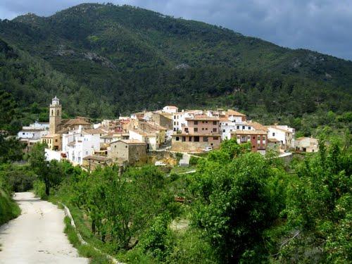 Imagen de Torralba del Pinar mapa 12225 5 