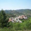 Imagen de Torralba del Pinar mapa 12225 6 