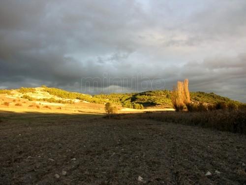Imagen de Torre de Esgueva mapa 47183 2 