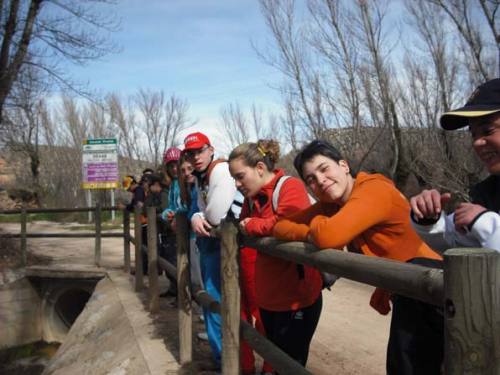 Imagen de Torre de las Arcas mapa 44709 1 